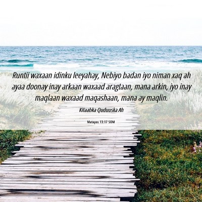 Picture 06 - Matayos 13:17 SOM - Runtii waxaan idinku leeyahay, Nebiyo badan iyo - Bible Verse Picture