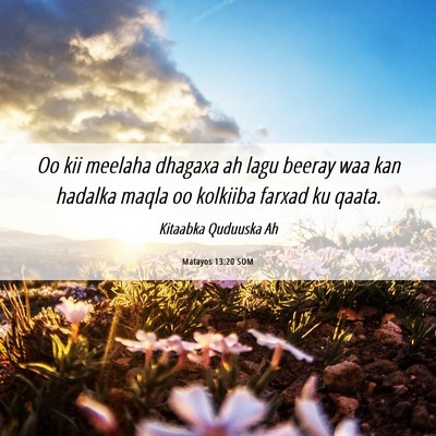 Picture 06 - Matayos 13:20 SOM - Oo kii meelaha dhagaxa ah lagu beeray waa kan - Bible Verse Picture