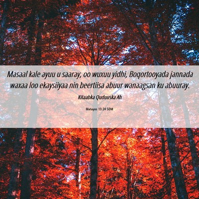 Picture 06 - Matayos 13:24 SOM - Masaal kale ayuu u saaray, oo wuxuu yidhi, - Bible Verse Picture