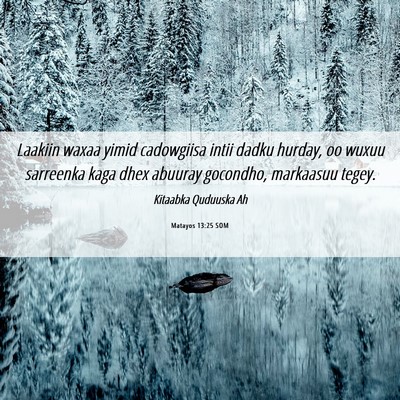 Picture 06 - Matayos 13:25 SOM - Laakiin waxaa yimid cadowgiisa intii dadku - Bible Verse Picture