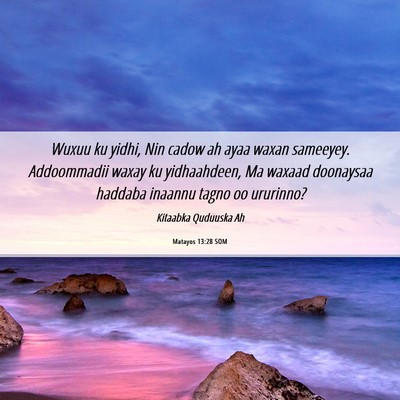 Picture 06 - Matayos 13:28 SOM - Wuxuu ku yidhi, Nin cadow ah ayaa waxan sameeyey. - Bible Verse Picture