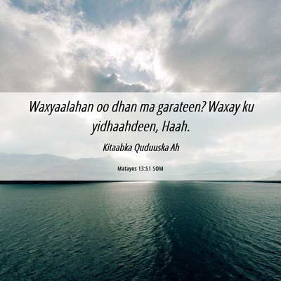 Picture 06 - Matayos 13:51 SOM - Waxyaalahan oo dhan ma garateen? Waxay ku - Bible Verse Picture