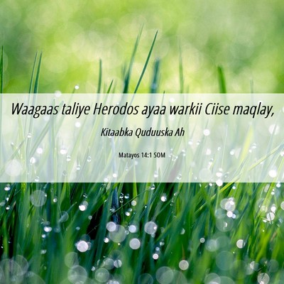 Picture 06 - Matayos 14:1 SOM - Waagaas taliye Herodos ayaa warkii Ciise - Bible Verse Picture