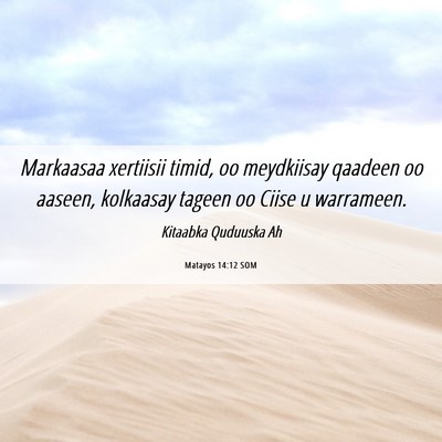Picture 06 - Matayos 14:12 SOM - Markaasaa xertiisii timid, oo meydkiisay qaadeen - Bible Verse Picture
