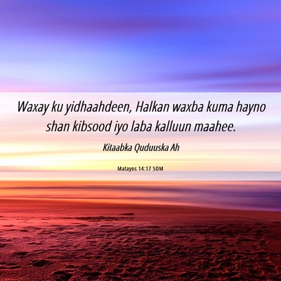 Picture 06 - Matayos 14:17 SOM - Waxay ku yidhaahdeen, Halkan waxba kuma hayno - Bible Verse Picture