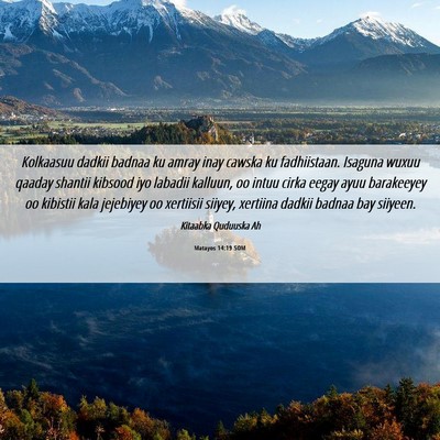 Picture 06 - Matayos 14:19 SOM - Kolkaasuu dadkii badnaa ku amray inay cawska ku - Bible Verse Picture