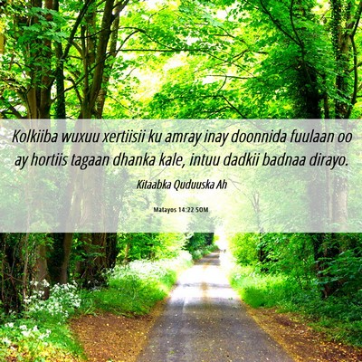 Picture 06 - Matayos 14:22 SOM - Kolkiiba wuxuu xertiisii ku amray inay doonnida - Bible Verse Picture