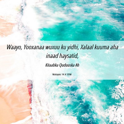 Picture 06 - Matayos 14:4 SOM - Waayo, Yooxanaa wuxuu ku yidhi, Xalaal kuuma aha - Bible Verse Picture