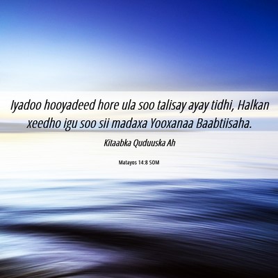 Picture 06 - Matayos 14:8 SOM - Iyadoo hooyadeed hore ula soo talisay ayay tidhi, - Bible Verse Picture