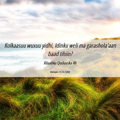 Picture 06 - Matayos 15:16 SOM - Kolkaasuu wuxuu yidhi, Idinku weli ma - Bible Verse Picture