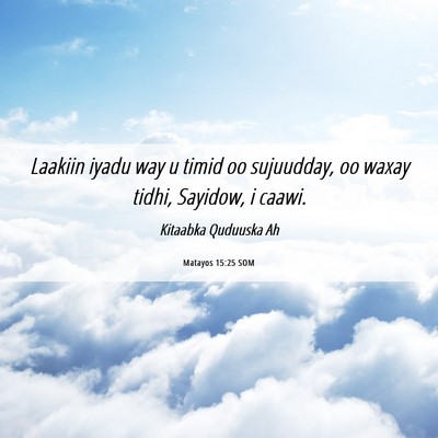 Picture 06 - Matayos 15:25 SOM - Laakiin iyadu way u timid oo sujuudday, oo waxay - Bible Verse Picture
