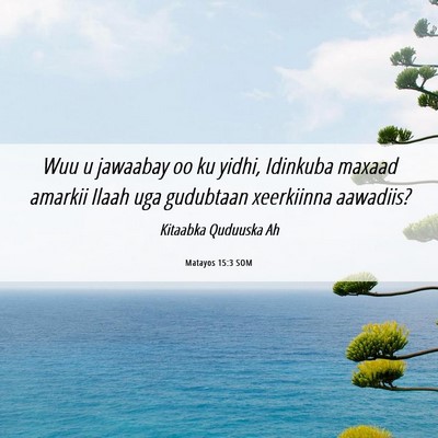 Picture 06 - Matayos 15:3 SOM - Wuu u jawaabay oo ku yidhi, Idinkuba maxaad - Bible Verse Picture