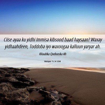 Picture 06 - Matayos 15:34 SOM - Ciise ayaa ku yidhi Immisa kibsood baad haysaan? - Bible Verse Picture