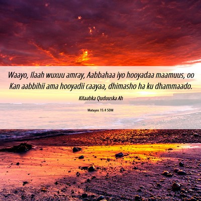 Picture 06 - Matayos 15:4 SOM - Waayo, Ilaah wuxuu amray, Aabbahaa iyo hooyadaa - Bible Verse Picture