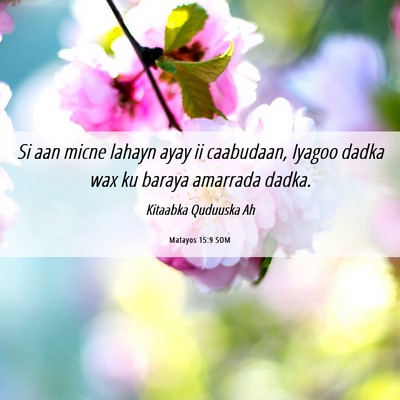 Picture 06 - Matayos 15:9 SOM - Si aan micne lahayn ayay ii caabudaan, Iyagoo - Bible Verse Picture