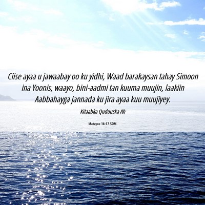 Picture 06 - Matayos 16:17 SOM - Ciise ayaa u jawaabay oo ku yidhi, Waad - Bible Verse Picture