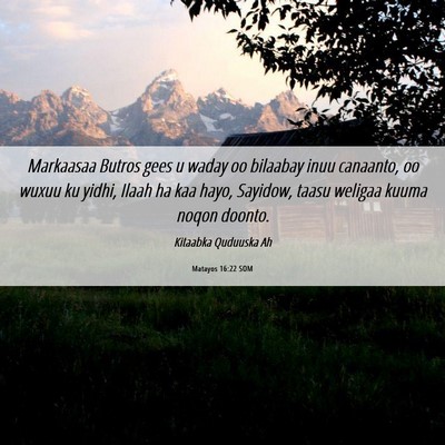 Picture 06 - Matayos 16:22 SOM - Markaasaa Butros gees u waday oo bilaabay inuu - Bible Verse Picture