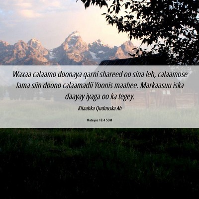 Picture 06 - Matayos 16:4 SOM - Waxaa calaamo doonaya qarni shareed oo sina leh, - Bible Verse Picture