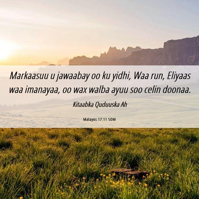 Picture 06 - Matayos 17:11 SOM - Markaasuu u jawaabay oo ku yidhi, Waa run, - Bible Verse Picture