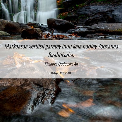 Picture 06 - Matayos 17:13 SOM - Markaasaa xertiisii garatay inuu kala hadlay - Bible Verse Picture
