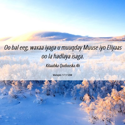 Picture 06 - Matayos 17:3 SOM - Oo bal eeg, waxaa iyaga u muuqday Muuse iyo - Bible Verse Picture