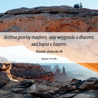 Picture 06 - Matayos 17:6 SOM - Xertiina goortay maqleen, ayay wejigooda u - Bible Verse Picture