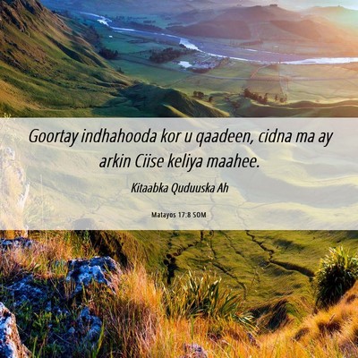 Picture 06 - Matayos 17:8 SOM - Goortay indhahooda kor u qaadeen, cidna ma ay - Bible Verse Picture