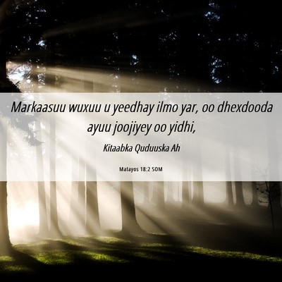 Picture 06 - Matayos 18:2 SOM - Markaasuu wuxuu u yeedhay ilmo yar, oo dhexdooda - Bible Verse Picture