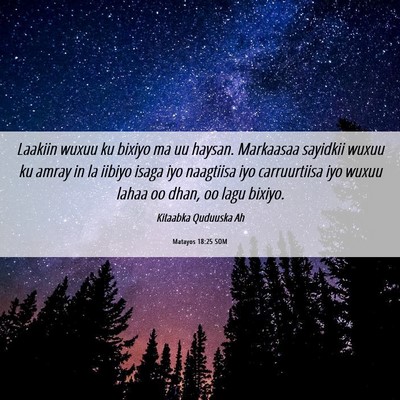 Picture 06 - Matayos 18:25 SOM - Laakiin wuxuu ku bixiyo ma uu haysan. Markaasaa - Bible Verse Picture