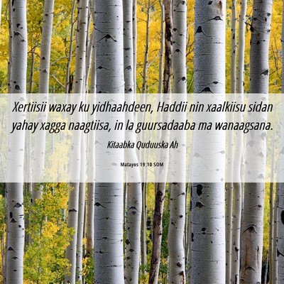 Picture 06 - Matayos 19:10 SOM - Xertiisii waxay ku yidhaahdeen, Haddii nin - Bible Verse Picture