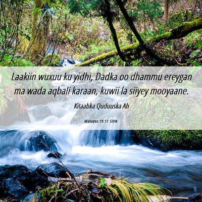 Picture 06 - Matayos 19:11 SOM - Laakiin wuxuu ku yidhi, Dadka oo dhammu ereygan - Bible Verse Picture