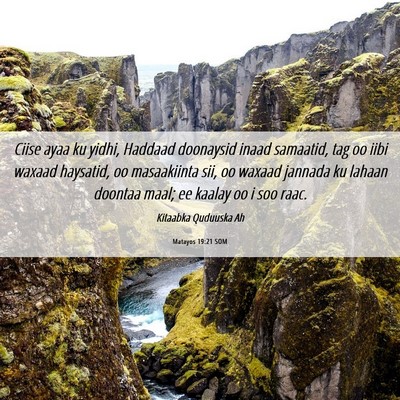 Picture 06 - Matayos 19:21 SOM - Ciise ayaa ku yidhi, Haddaad doonaysid inaad - Bible Verse Picture