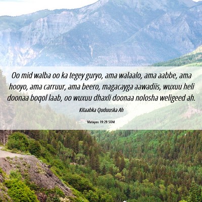 Picture 06 - Matayos 19:29 SOM - Oo mid walba oo ka tegey guryo, ama walaalo, ama - Bible Verse Picture