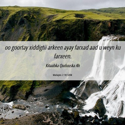 Picture 06 - Matayos 2:10 SOM - oo goortay xiddigtii arkeen ayay farxad aad u - Bible Verse Picture