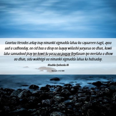 Picture 06 - Matayos 2:16 SOM - Goortuu Herodos arkay inay nimankii xigmadda - Bible Verse Picture
