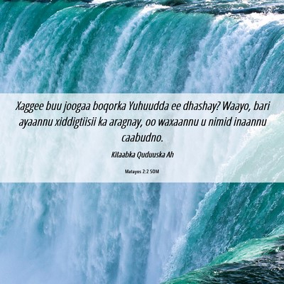 Picture 06 - Matayos 2:2 SOM - Xaggee buu joogaa boqorka Yuhuudda ee dhashay? - Bible Verse Picture