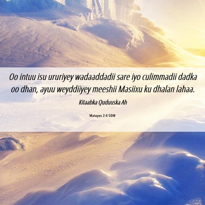 Picture 06 - Matayos 2:4 SOM - Oo intuu isu ururiyey wadaaddadii sare iyo - Bible Verse Picture