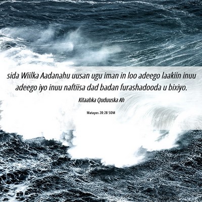 Picture 06 - Matayos 20:28 SOM - sida Wiilka Aadanahu uusan ugu iman in loo adeego - Bible Verse Picture