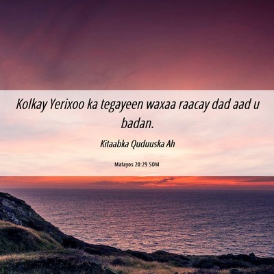 Picture 06 - Matayos 20:29 SOM - Kolkay Yerixoo ka tegayeen waxaa raacay dad aad u - Bible Verse Picture