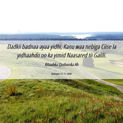 Picture 06 - Matayos 21:11 SOM - Dadkii badnaa ayaa yidhi, Kanu waa nebiga Ciise - Bible Verse Picture