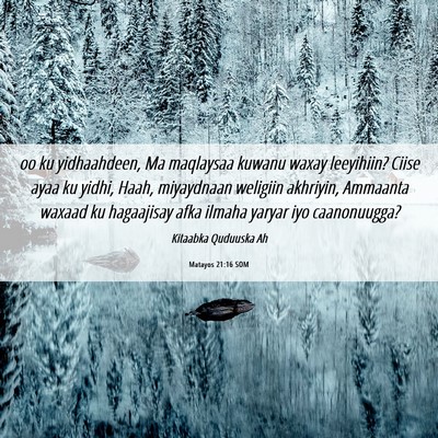 Picture 06 - Matayos 21:16 SOM - oo ku yidhaahdeen, Ma maqlaysaa kuwanu waxay - Bible Verse Picture