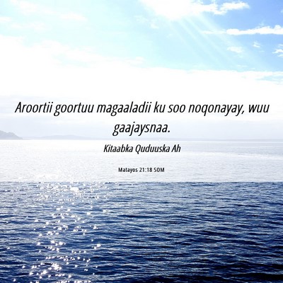 Picture 06 - Matayos 21:18 SOM - Aroortii goortuu magaaladii ku soo noqonayay, wuu - Bible Verse Picture