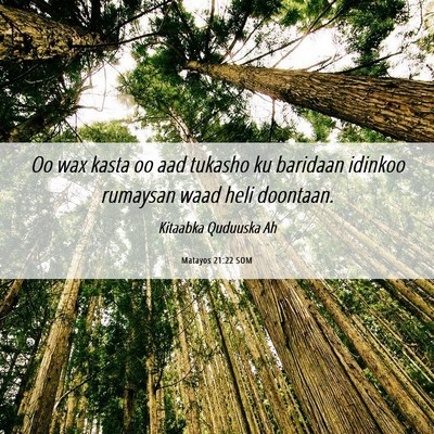 Picture 06 - Matayos 21:22 SOM - Oo wax kasta oo aad tukasho ku baridaan idinkoo - Bible Verse Picture