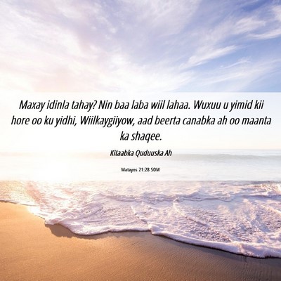 Picture 06 - Matayos 21:28 SOM - Maxay idinla tahay? Nin baa laba wiil lahaa. - Bible Verse Picture