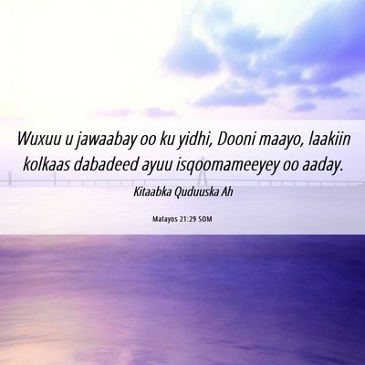 Picture 06 - Matayos 21:29 SOM - Wuxuu u jawaabay oo ku yidhi, Dooni maayo, - Bible Verse Picture
