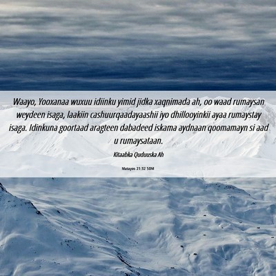 Picture 06 - Matayos 21:32 SOM - Waayo, Yooxanaa wuxuu idiinku yimid jidka - Bible Verse Picture