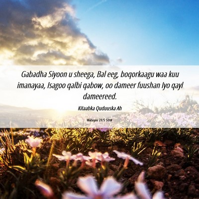 Picture 06 - Matayos 21:5 SOM - Gabadha Siyoon u sheega, Bal eeg, boqorkaagu waa - Bible Verse Picture