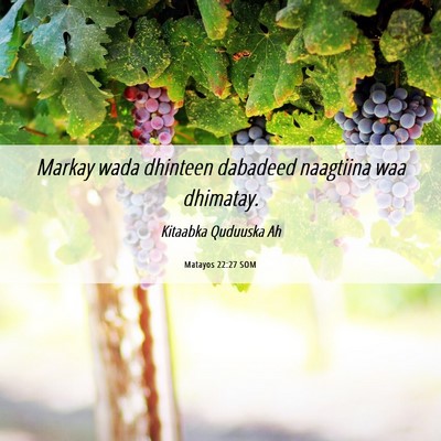 Picture 06 - Matayos 22:27 SOM - Markay wada dhinteen dabadeed naagtiina waa - Bible Verse Picture