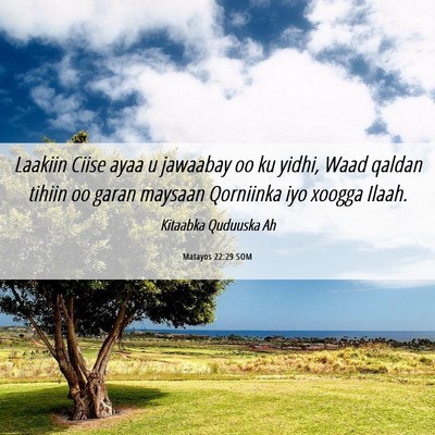 Picture 06 - Matayos 22:29 SOM - Laakiin Ciise ayaa u jawaabay oo ku yidhi, Waad - Bible Verse Picture