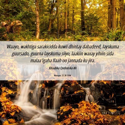 Picture 06 - Matayos 22:30 SOM - Waayo, wakhtiga sarakicidda kuwii dhintay - Bible Verse Picture